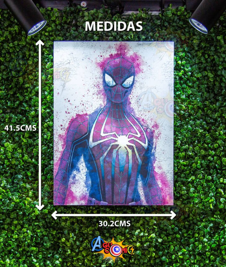 SPIDERMAN - Image 2